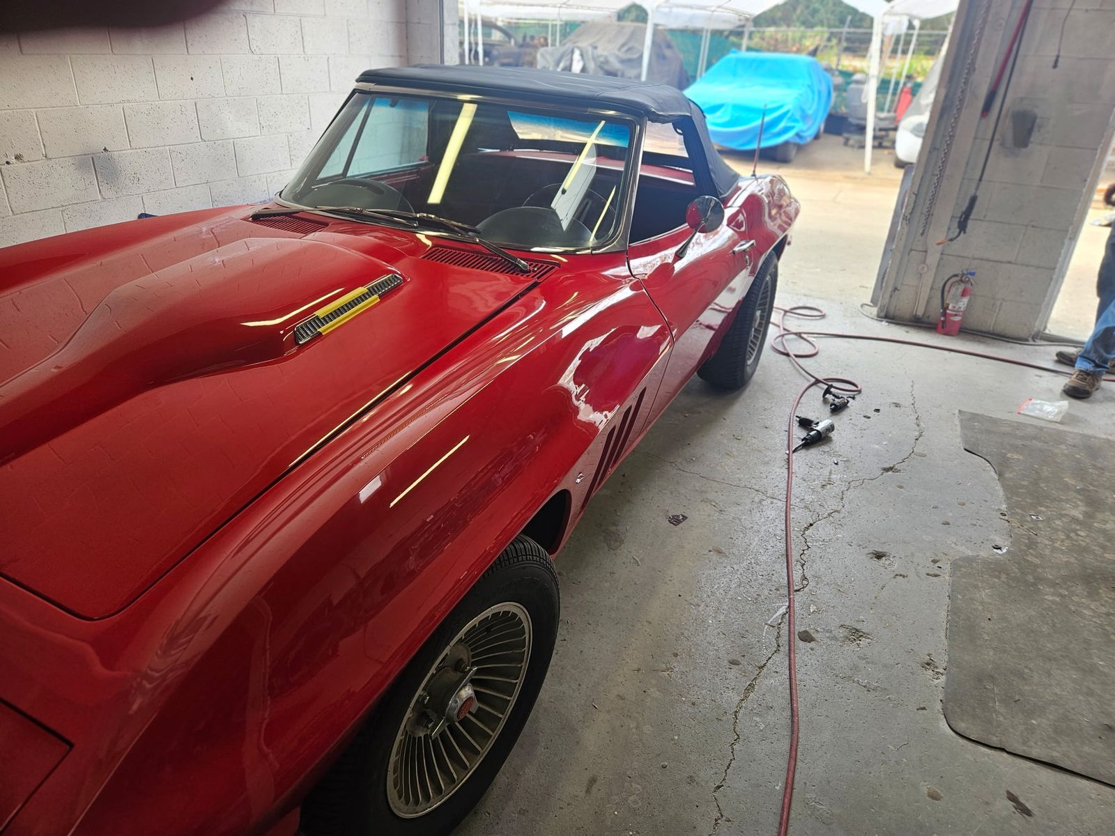 1966 Corvette Sting Ray — Front fender and door line, gloss reading true.